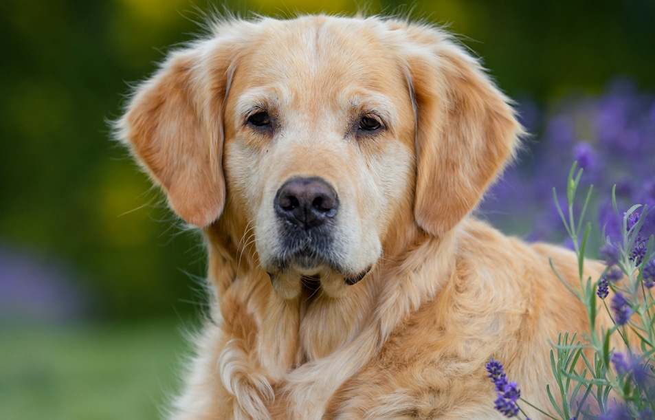 Our Services Hero Banner